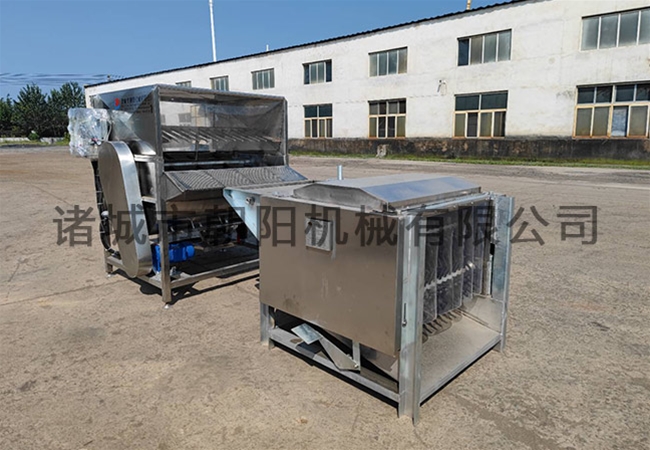 Full automatic poultry scalding and stripping machine